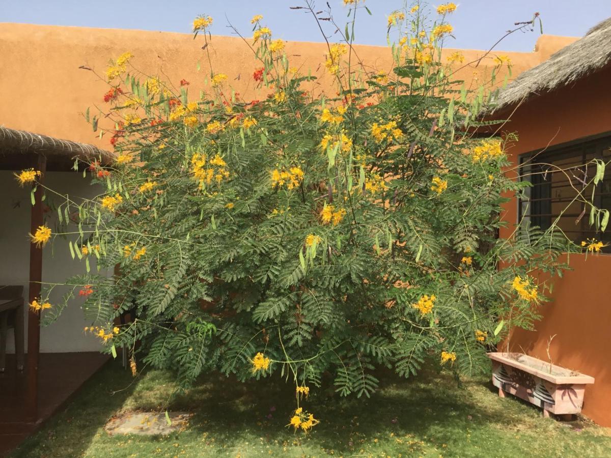Terra Lodge Senegal M'Bour Eksteriør billede